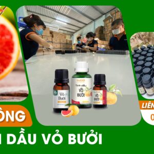 Gia công tinh dầu vỏ bưởi