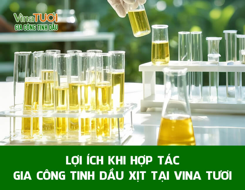 Lợi ích khi hợp tác gia công