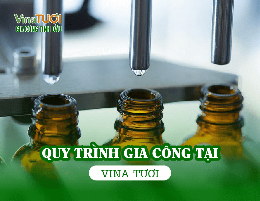 Quy trình gia công tại Vina Tươi