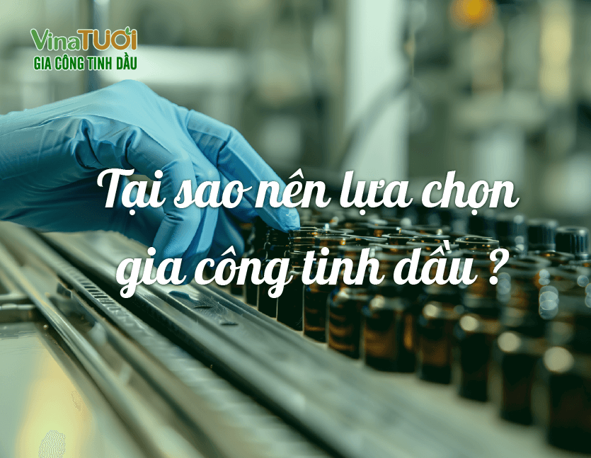 Tại sao nên lựa chọn gia công tinh dầu 