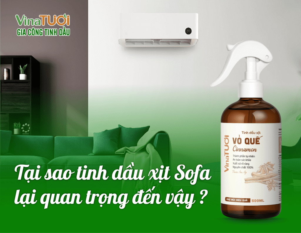 Tại sao tinh dầu xịt sofa lại quan trọng đến vậy