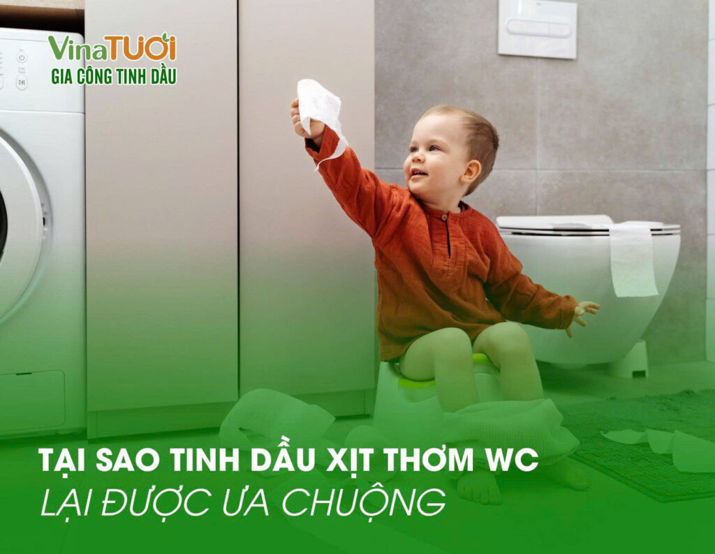 Tại sao tinh dầu xịt thơm wc lại được ưa chuộng