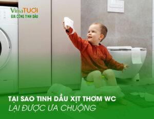 Tại sao tinh dầu xịt thơm wc lại được ưa chuộng