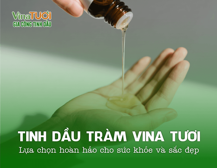 Tinh dầu tràm Vina Tươi – Lựa chọn hoàn hảo cho sức khỏe và sắc đẹp