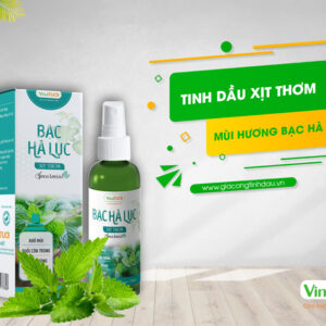 Gia công tinh dầu xịt thơm mùi hương bạc hà lục