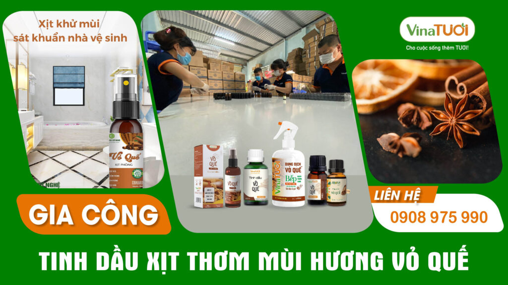 Gia công tinh dầu vỏ quế