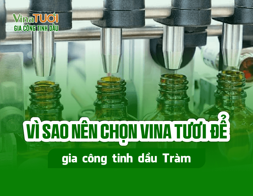 Vì sao nên chọn Vina Tươi để gia công tinh dầu tràm