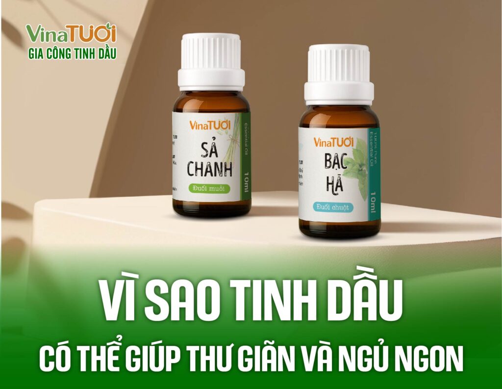 Vì sao tinh dầu có thể giúp thư giãn và ngủ ngon?