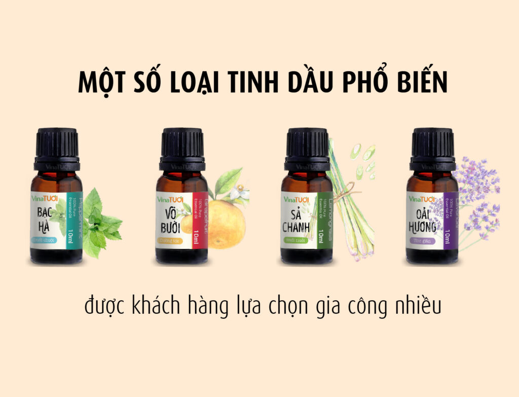 Vina Tươi - Đơn vị gia công tinh dầu 60ml chất lượng hàng đầu