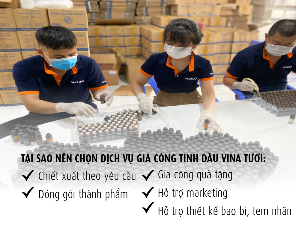 Bạn có ý tưởng về một loại tinh dầu độc đáo? Công ty Gia Công Tinh Dầu Vina Tươi sẽ biến nó thành hiện thực!