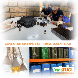 Công ty nhận gia công tinh dầu giá sỉ