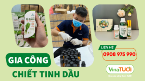 Gia công chiết tinh dầu Vina Tươi