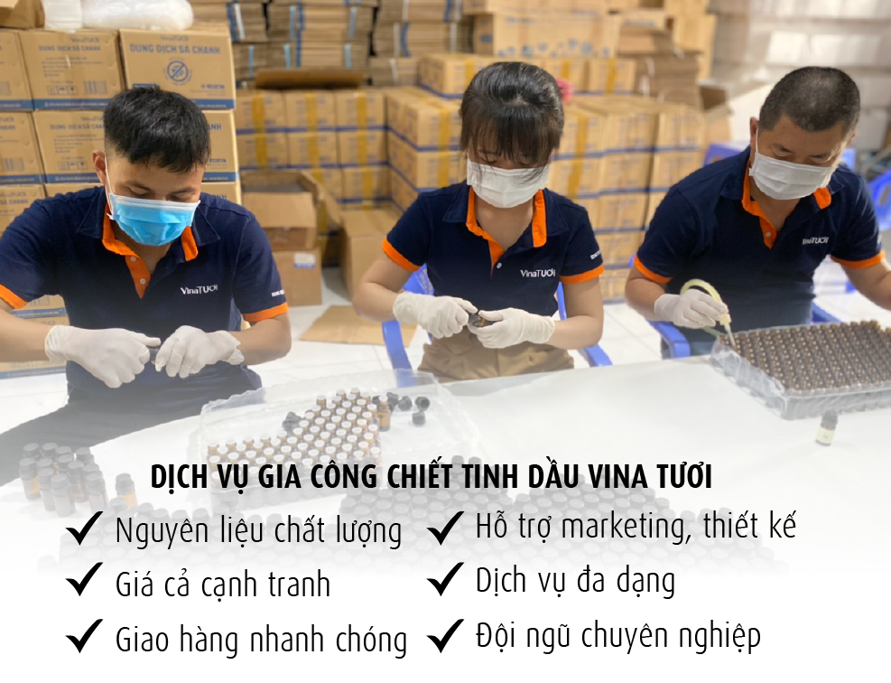 Gia công chiết tinh dầu Vina Tươi