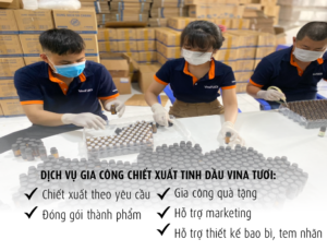 Gia công chiết xuất tinh dầu uy tín
