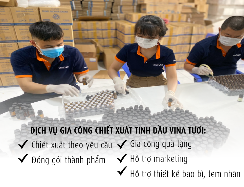 Gia công chiết xuất tinh dầu uy tín
