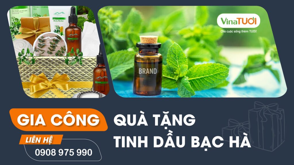Gia công tinh dầu quà tặng bạc hà