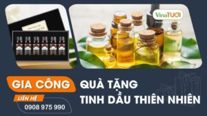 Gia công quà tặng tinh dầu thiên nhiên