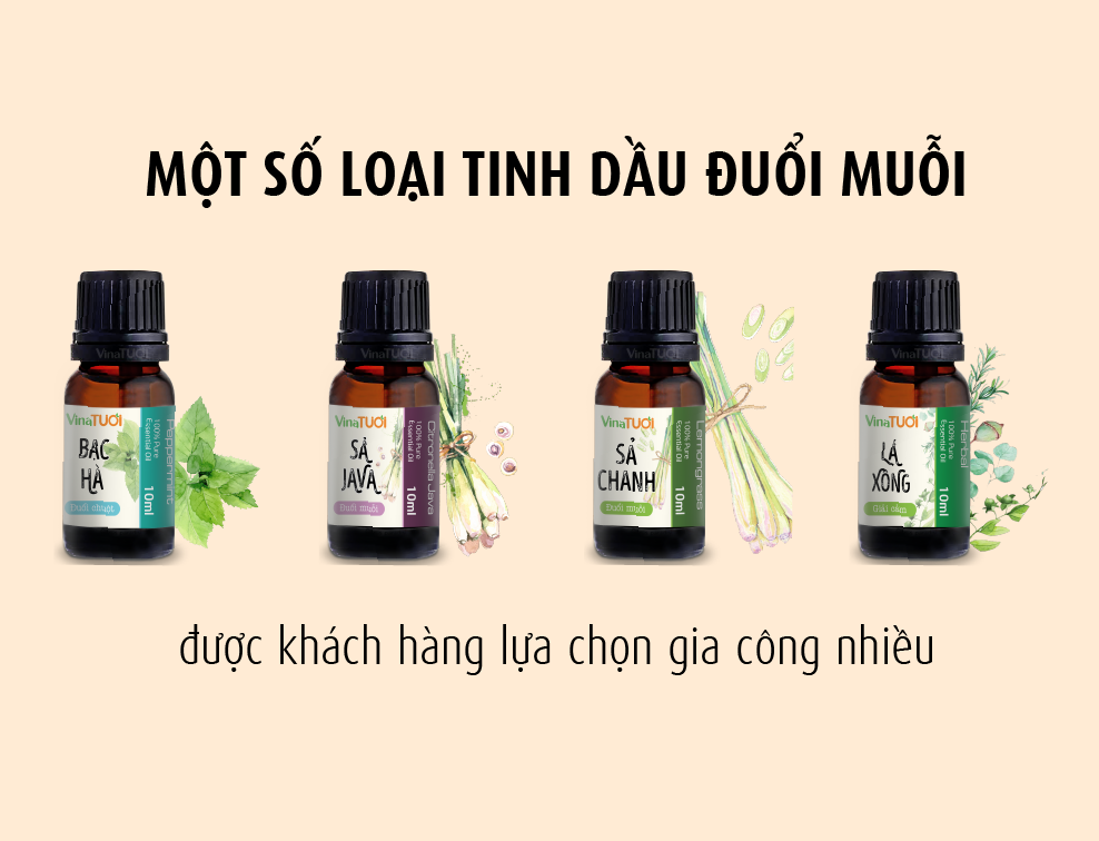 Quy trình gia công tinh dầu đuổi muỗi tại Vina Tươi
