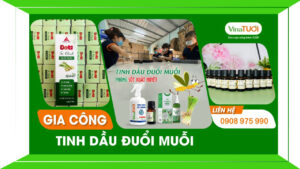 Gia công tinh dầu đuổi muỗi