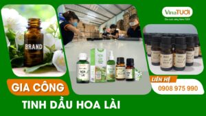 Gia công tinh dầu hoa lài