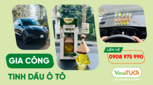 Gia công tinh dầu ô tô Vina Tươi - Sự lựa chọn hoàn hảo dành cho bạn