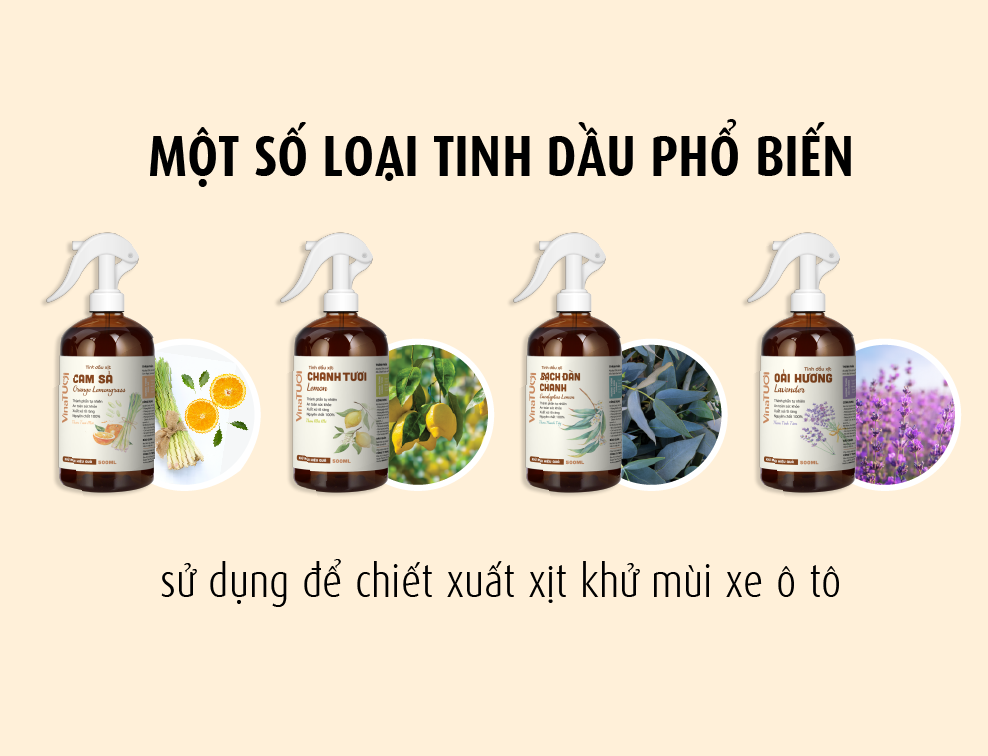 Gia công tinh dầu ô tô Vina Tươi - Sự lựa chọn hoàn hảo dành cho bạn