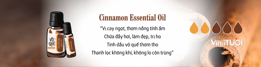 Gia công tinh dầu quế - Giải pháp hoàn hảo cho doanh nghiệp của bạn