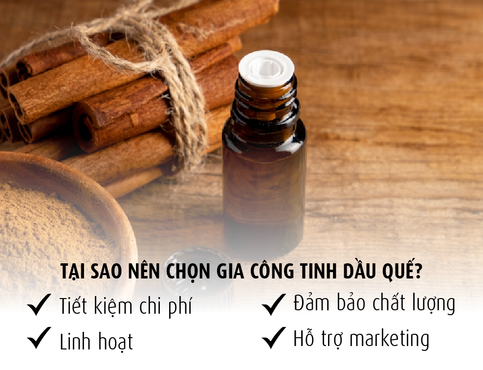 Gia công tinh dầu quế - Giải pháp hoàn hảo cho doanh nghiệp của bạn