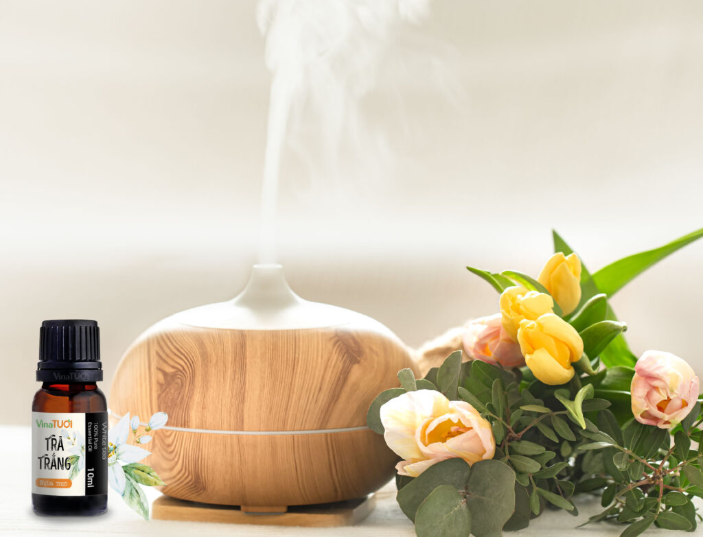 Gia công tinh dầu thiên nhiên từ a đến z cho người mới bắt đầu