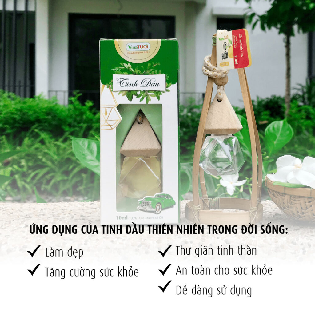 Gia công tinh dầu thiên nhiên từ a đến z cho người mới bắt đầu