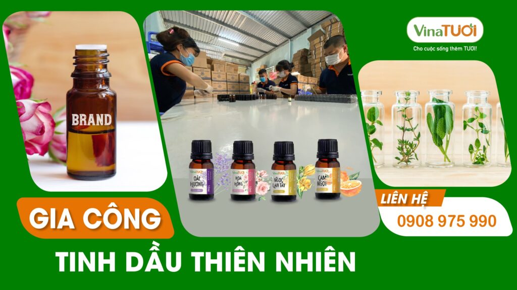 Gia công tinh dầu thiên nhiên từ a đến z cho người mới bắt đầu