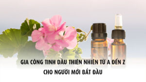 Gia công tinh dầu thiên nhiên từ a đến z cho người mới bắt đầu