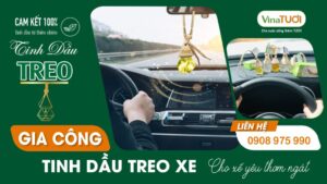 gia công tinh dầu ô tô
