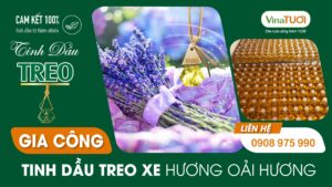 Gia công tinh dầu treo xe oải hương