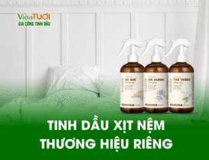 GIA CÔNG TINH DÀU XỊT NỆM THƯƠNG HIỆU RIÊNG