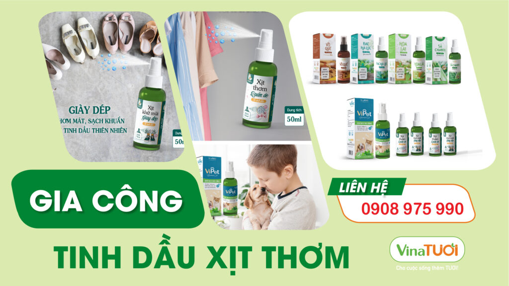 Sự phổ biến của tinh dầu xịt thơm