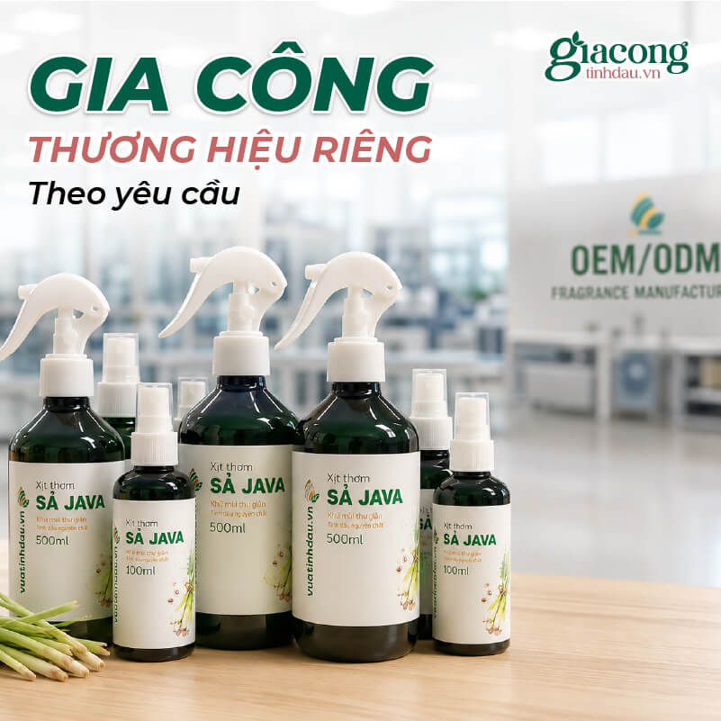 gia-cong-xit-khu-mui-thu-cung-thương