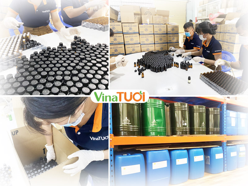 Hình gia công tinh dầu tại xưởng