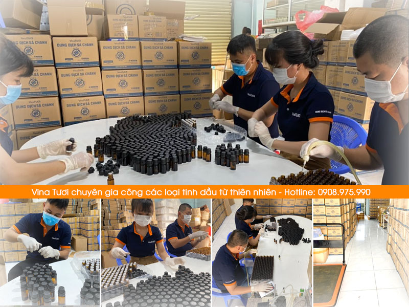 Hình gia công tinh dầu thiên nhiên từ xưởng