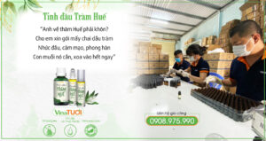 Hình gia công tinh dầu tràm huế