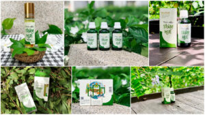 Hình gia công tinh dầu tràm huế