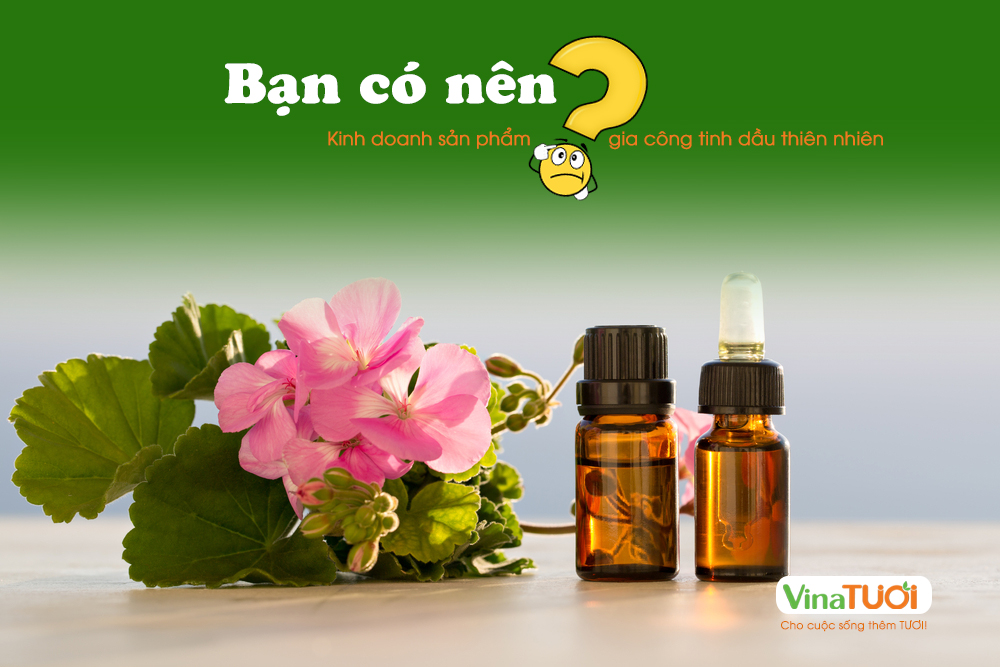 Kinh doanh sản phẩm gia công tinh dầu thiên nhiên