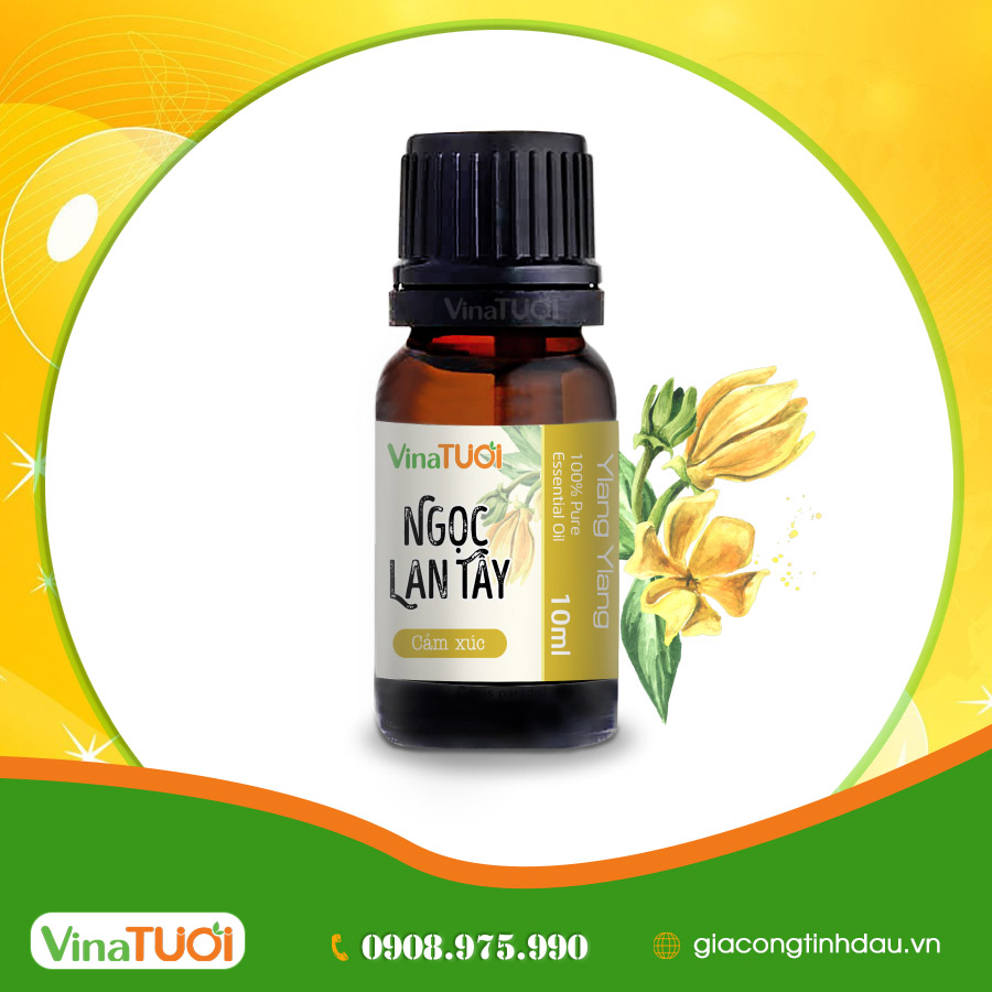 Thị trường kinh doanh tinh dầu