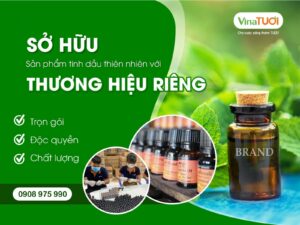 kinh-doanh-tmdt-va-so-huu-thuong-hieu-rieng