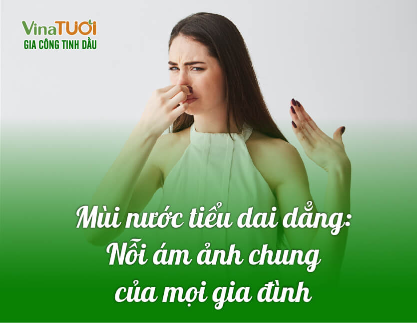 Mùi nước tiểu dai dẳng