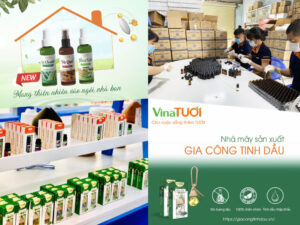 Nhà máy sản xuất tinh dầu