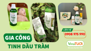 Những Lợi Ích Bất Ngờ Khi Gia Công Quà Tặng Tinh Dầu Tràm