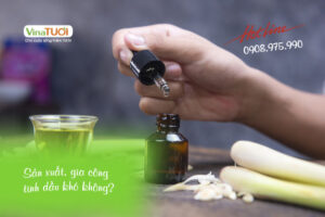 Sản xuất, gia công tinh dầu khó không?