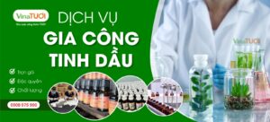 Sản xuất gia công tinh dầu Vina Tươi có gì khác biệt