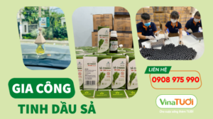 Tại sao gia công tinh dầu sả Vina Tươi lại được khách hàng ưa chuộng?